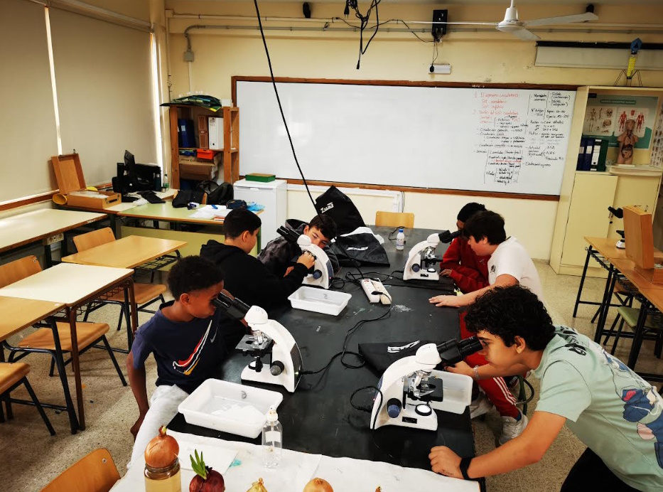 Visualización Protozoos