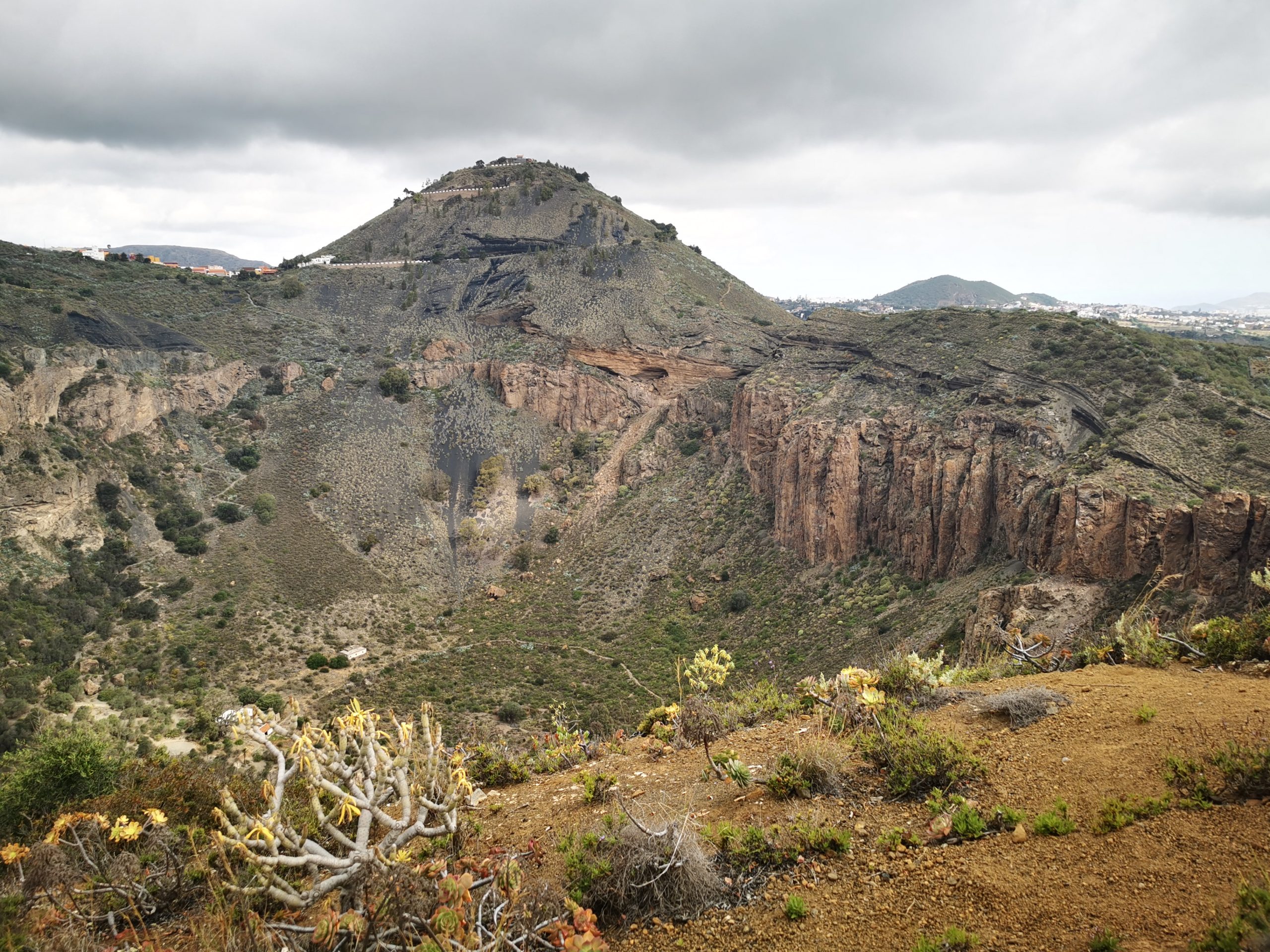 IMG_20250508_105350 – MOISES MIGUEL GONZÁLEZ PÉREZ