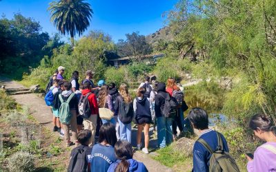 Visita al Jardín Canario Viera y Clavijo
